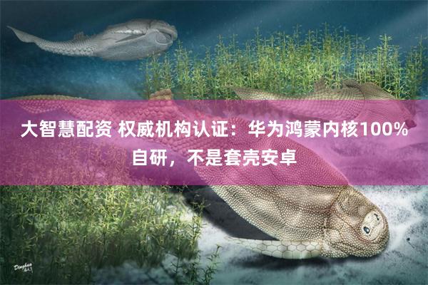 大智慧配资 权威机构认证：华为鸿蒙内核100%自研，不是套壳安卓