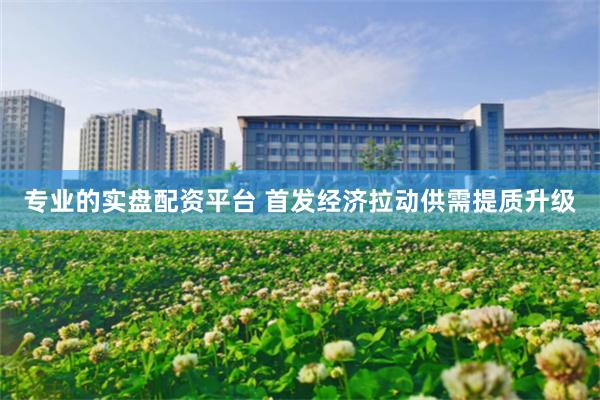 专业的实盘配资平台 首发经济拉动供需提质升级