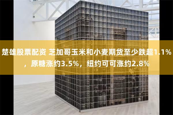 楚雄股票配资 芝加哥玉米和小麦期货至少跌超1.1%，原糖涨约3.5%，纽约可可涨约2.8%