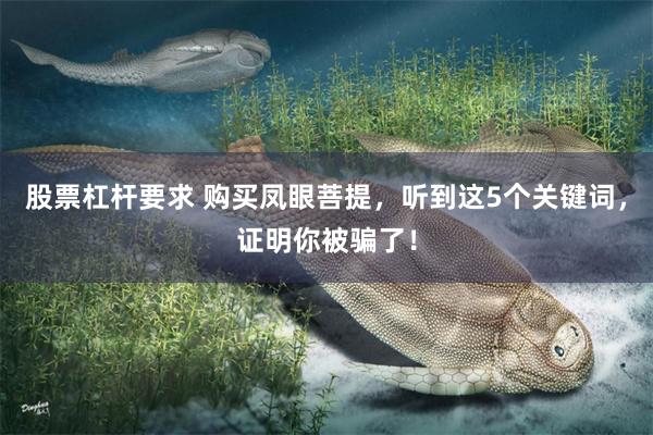 股票杠杆要求 购买凤眼菩提，听到这5个关键词，证明你被骗了！