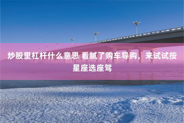 炒股里杠杆什么意思 看腻了购车导购，来试试按星座选座驾
