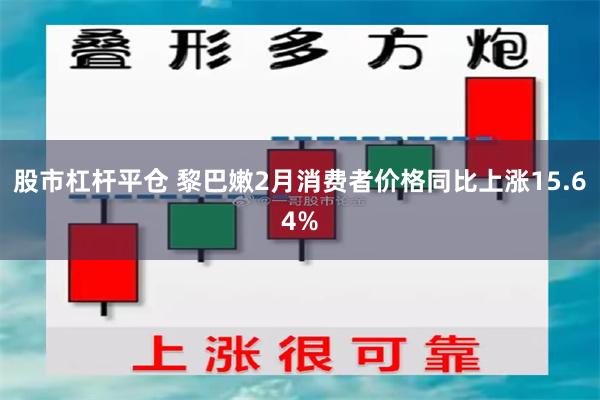 股市杠杆平仓 黎巴嫩2月消费者价格同比上涨15.64%