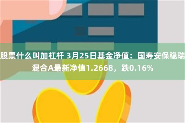 股票什么叫加杠杆 3月25日基金净值：国寿安保稳瑞混合A最新净值1.2668，跌0.16%