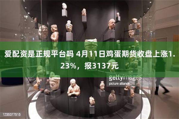 爱配资是正规平台吗 4月11日鸡蛋期货收盘上涨1.23%，报3137元
