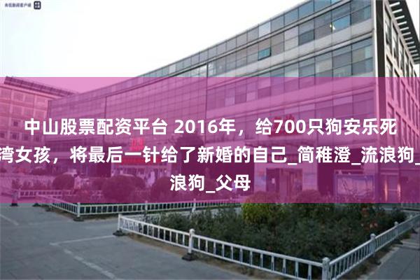 中山股票配资平台 2016年，给700只狗安乐死的台湾女孩，将最后一针给了新婚的自己_简稚澄_流浪狗_父母