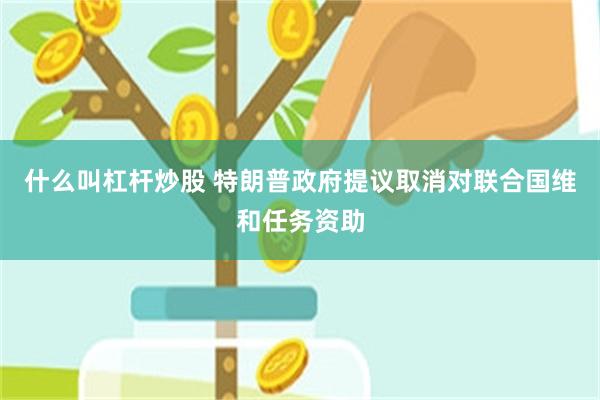 什么叫杠杆炒股 特朗普政府提议取消对联合国维和任务资助