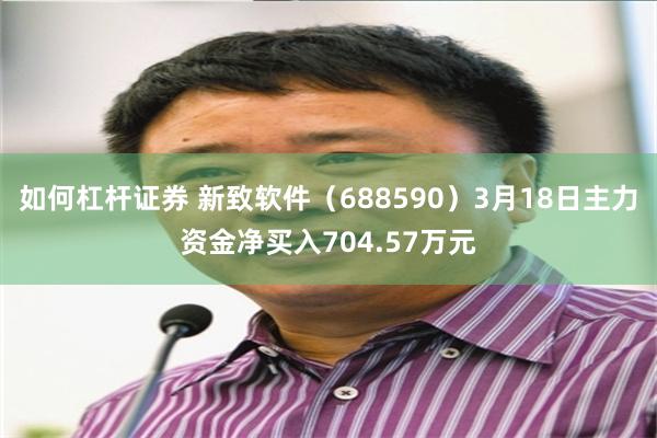 如何杠杆证券 新致软件（688590）3月18日主力资金净买入704.57万元