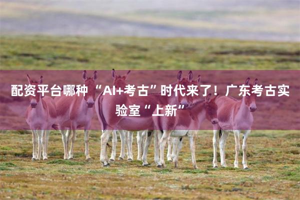 配资平台哪种 “AI+考古”时代来了！广东考古实验室“上新”
