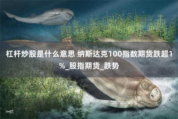 杠杆炒股是什么意思 纳斯达克100指数期货跌超1%_股指期货_跌势