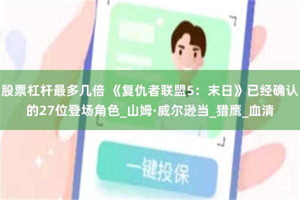 股票杠杆最多几倍 《复仇者联盟5：末日》已经确认的27位登场角色_山姆·威尔逊当_猎鹰_血清