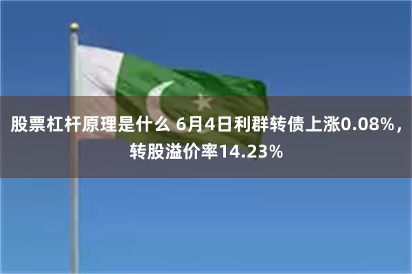 股票杠杆原理是什么 6月4日利群转债上涨0.08%，转股溢价率14.23%