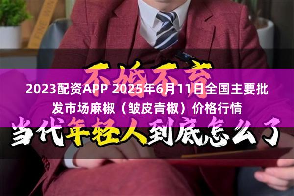 2023配资APP 2025年6月11日全国主要批发市场麻椒（皱皮青椒）价格行情