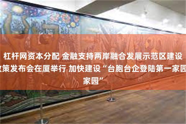 杠杆网资本分配 金融支持两岸融合发展示范区建设政策发布会在厦举行 加快建设“台胞台企登陆第一家园”