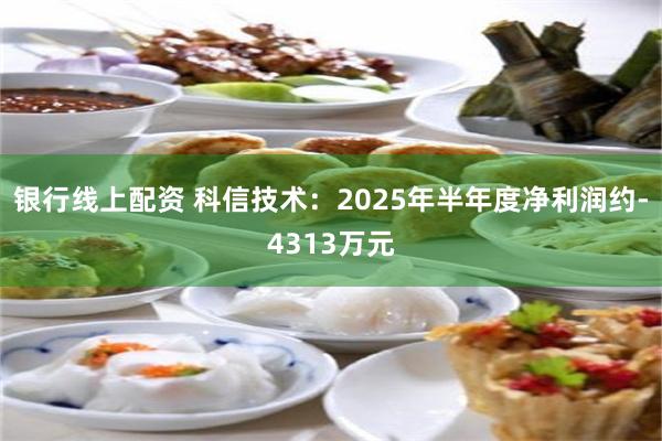 银行线上配资 科信技术：2025年半年度净利润约-4313万元