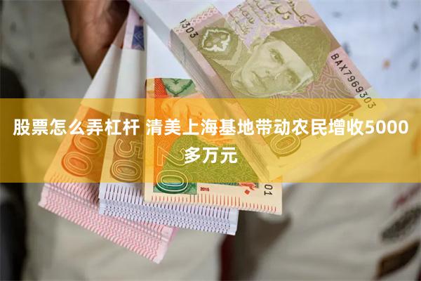 股票怎么弄杠杆 清美上海基地带动农民增收5000多万元